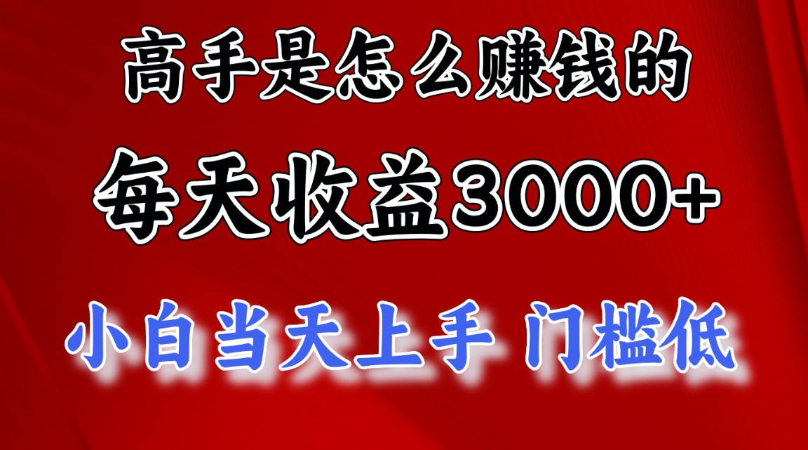 1天收益3000+，月收益10万以上，24年8月份爆火项目插图