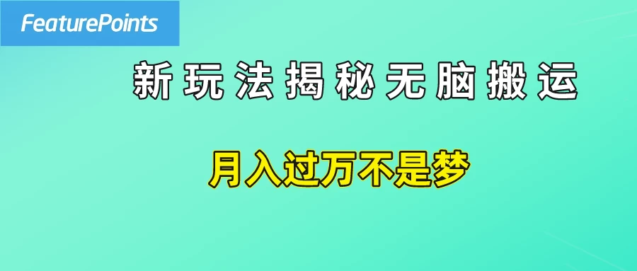 简单操作，每天50美元收入，搬运就是赚钱的秘诀！插图